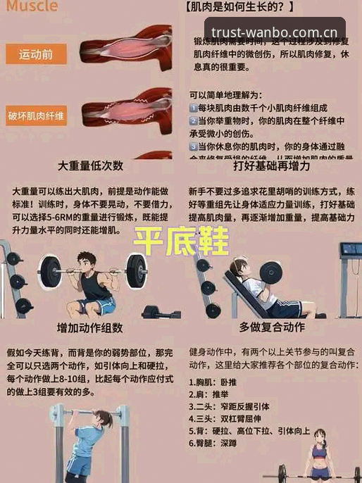 掌握万搏体育使用体验与下载的实用技巧，从入门到精通必备知识